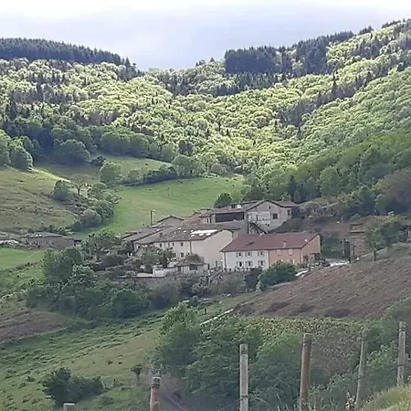 Avec Cuisine, Vue Et Piscine Privee Au Coeur Du Beaujolais Holiday home Blace